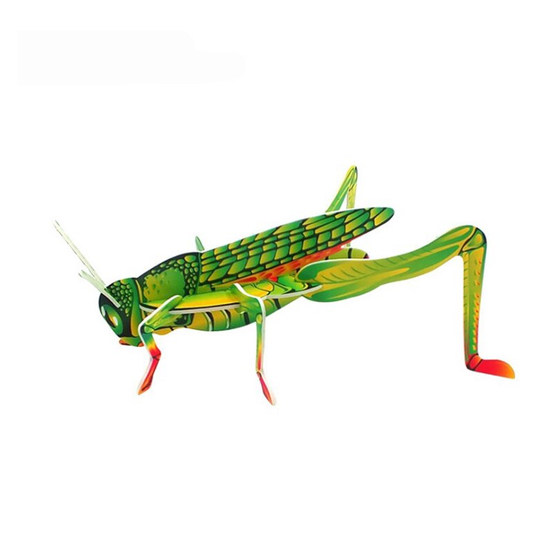 Insect Cognitive Baby Toys - Montessori Vision