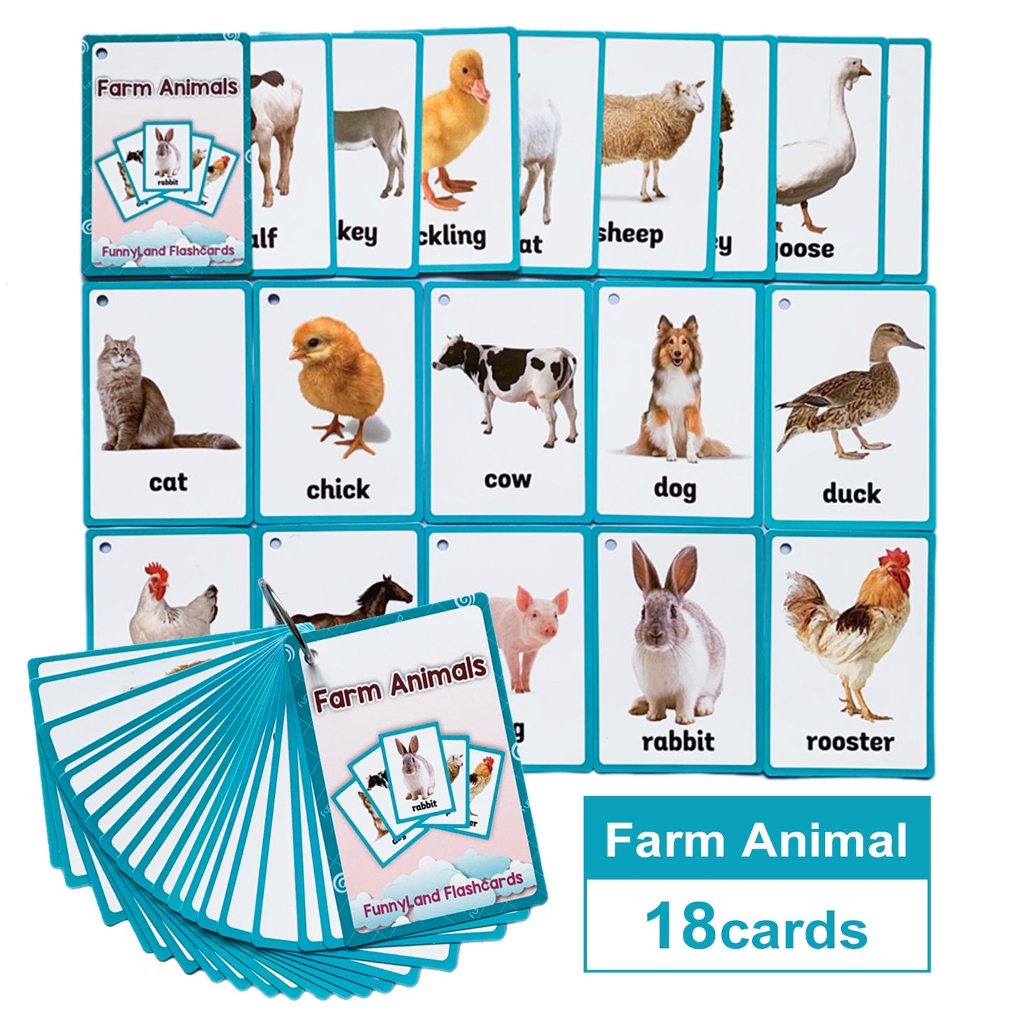 Baby English Learning Word Table Flashcard Toys - Montessori Vision