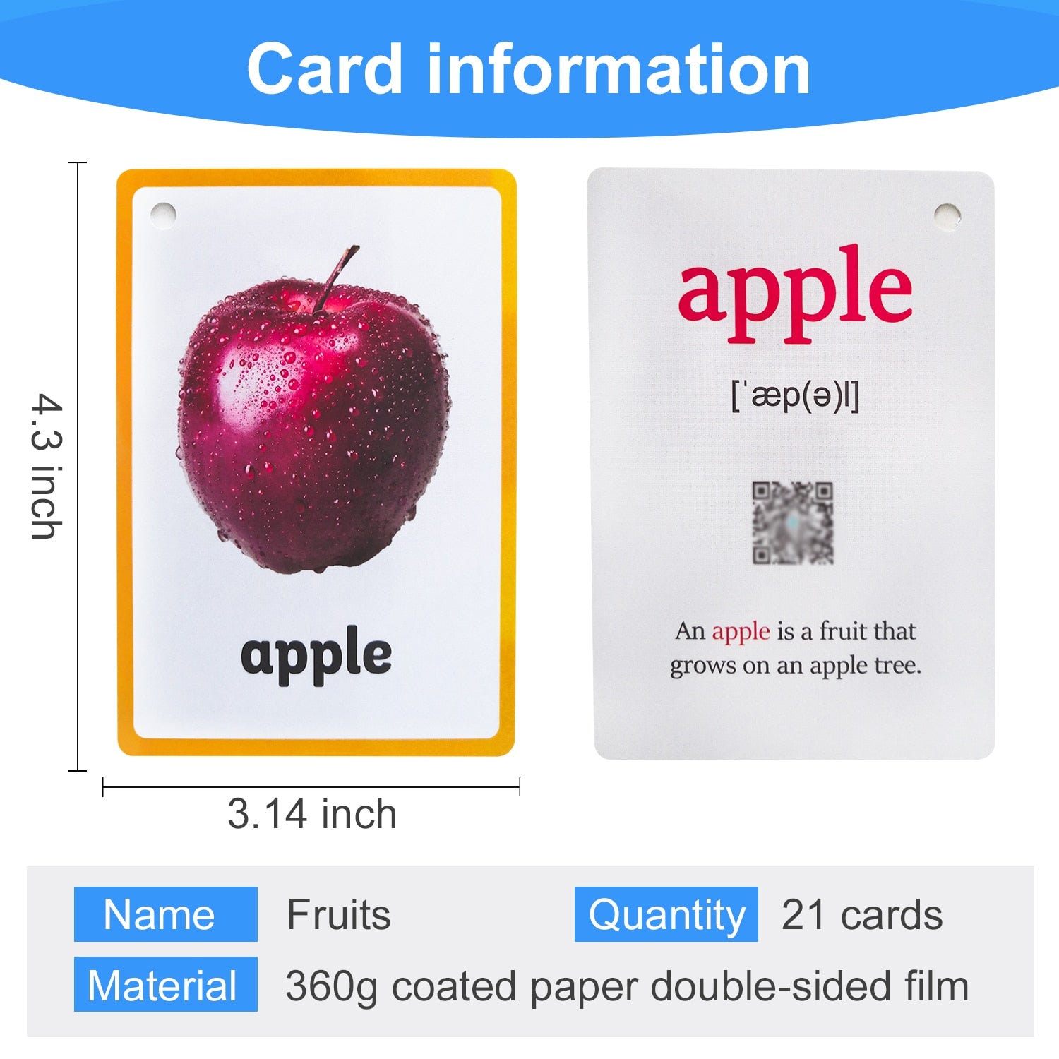 Baby English Learning Word Table Flashcard Toys - Montessori Vision