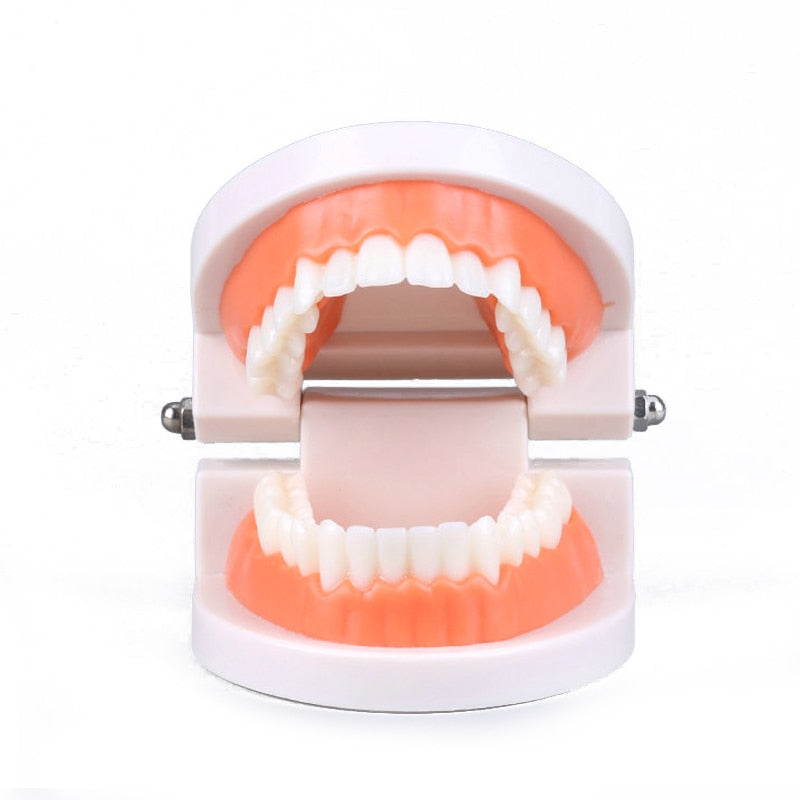 Kids Intelligence Brushing Tooth Toys - Montessori Vision