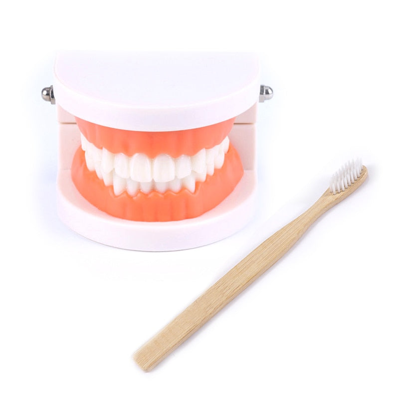 Kids Intelligence Brushing Tooth Toys - Montessori Vision