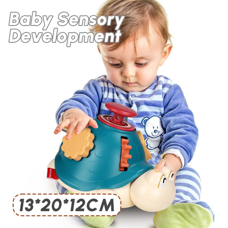 Toddler Montessori Baby Activity Turtle Toy - Montessori Vision