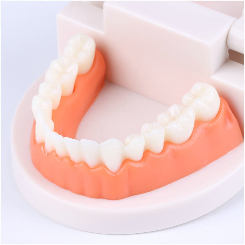 Kids Intelligence Brushing Tooth Toys - Montessori Vision