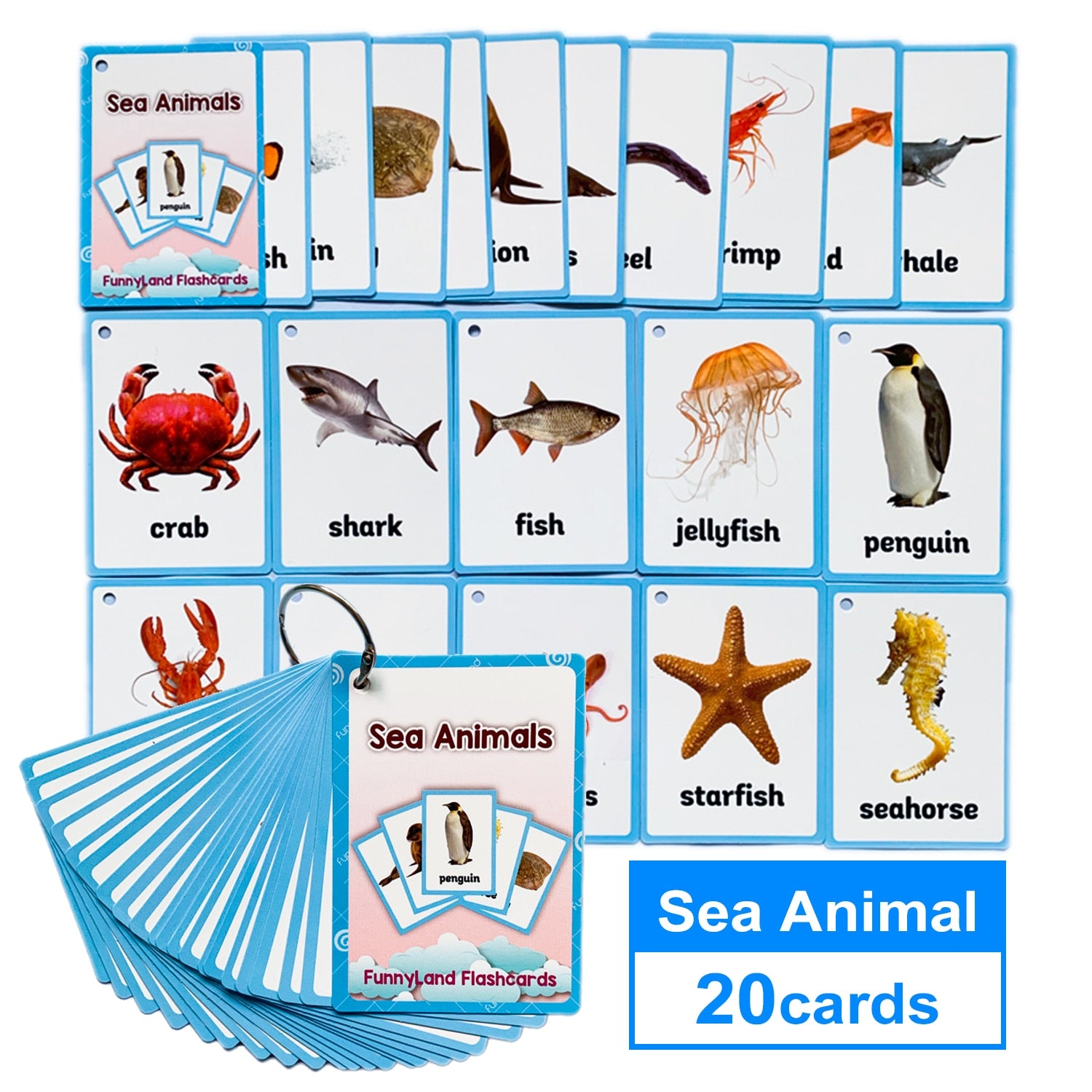 Baby English Learning Word Table Flashcard Toys - Montessori Vision
