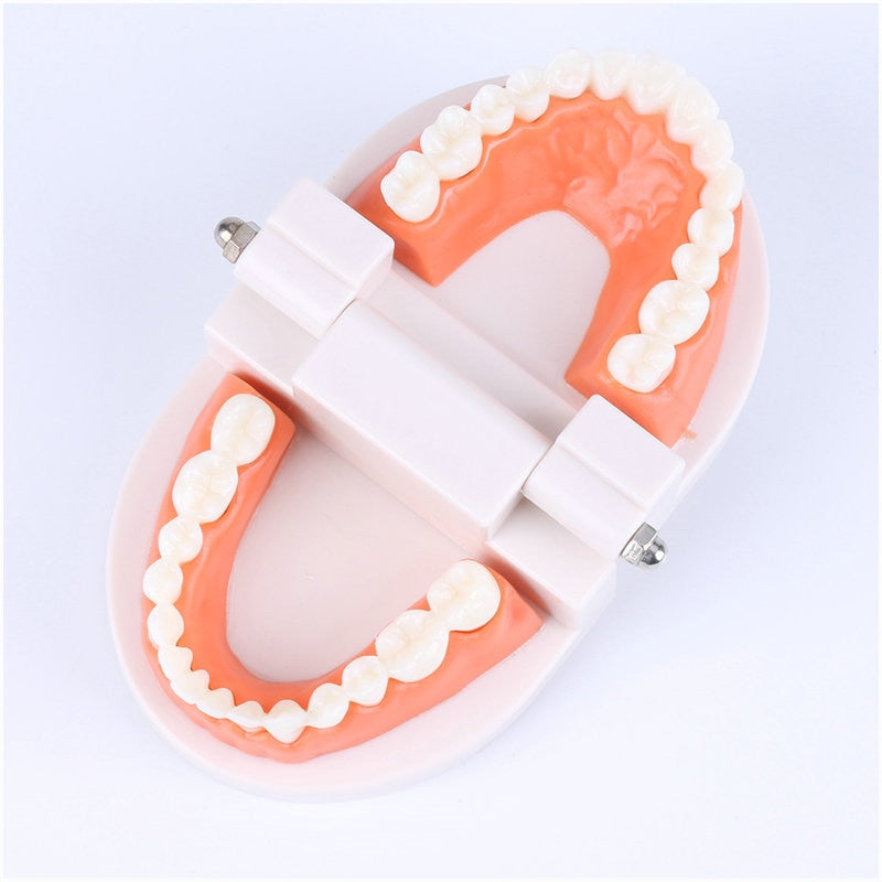 Kids Intelligence Brushing Tooth Toys - Montessori Vision