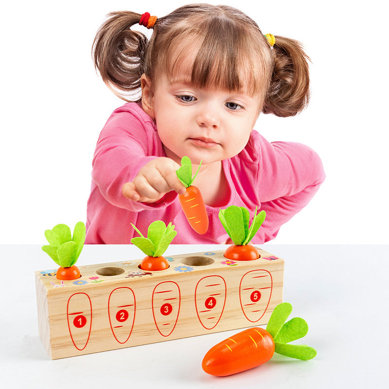 Carrots Shape-Fitting Game - Learning Game | Montessori Vision