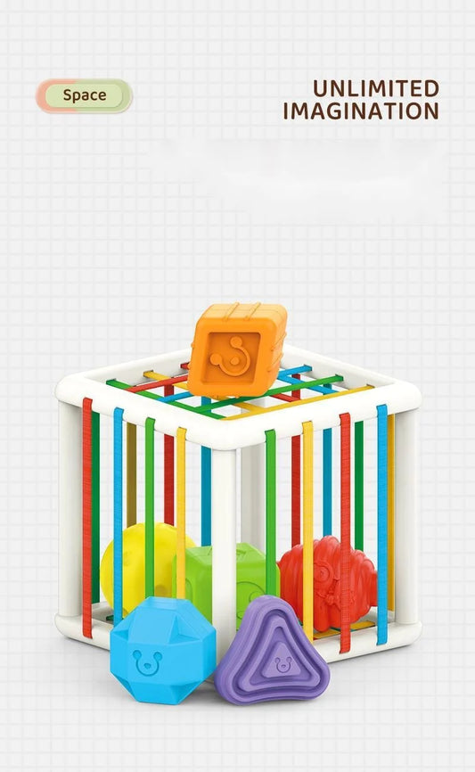 Montessori Shape Blocks Toys: The Path to Holistic Early Development