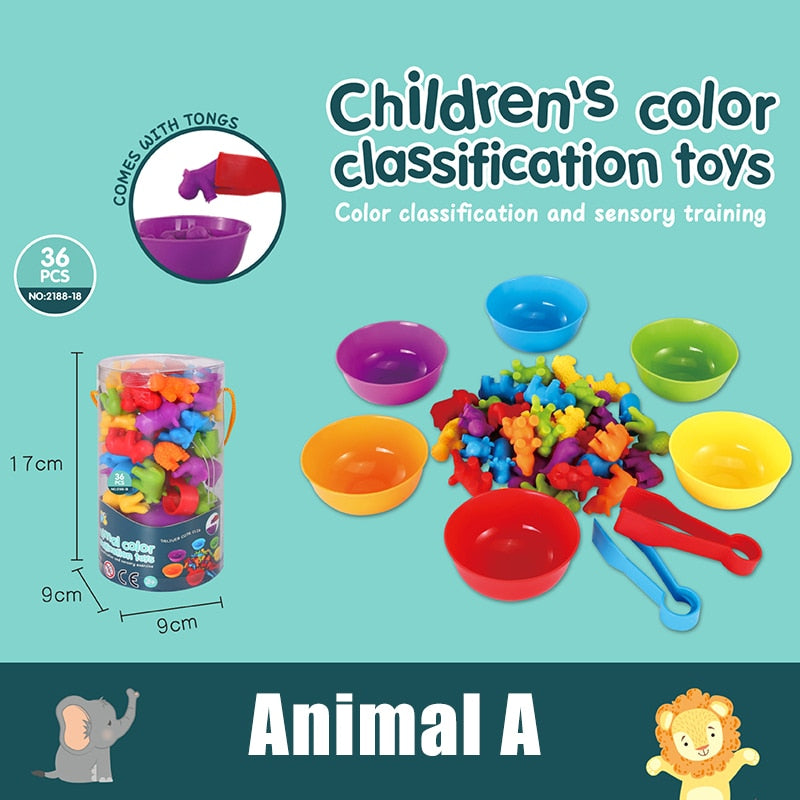 Kid Animal Cognition Rainbow Matching Game - Montessori Vision