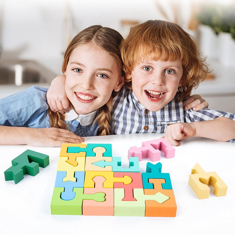 3D Geometric Matching Puzzle - Montessori Vision