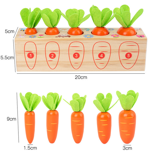 Carrots Shape-Fitting Game - Learning Game | Montessori Vision